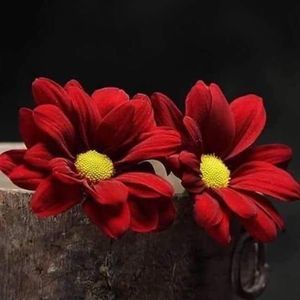 Meet your Posher, Balkees